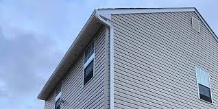 Best Siding Painting and Refinishing  in North Pearsall, TX